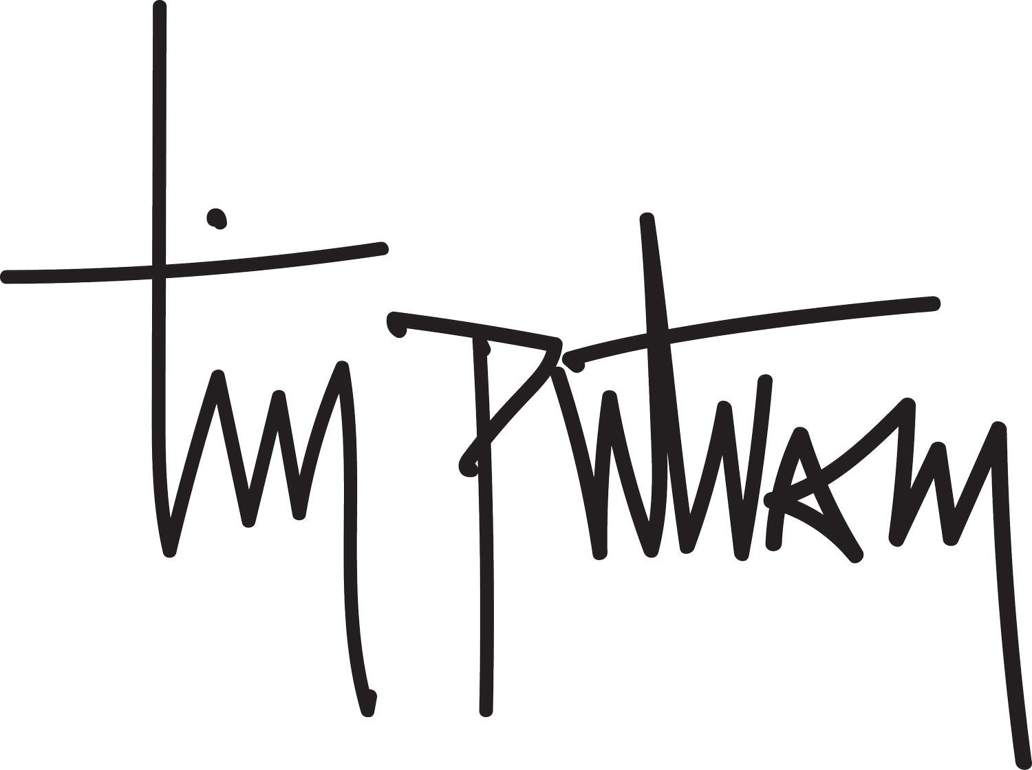 Tim Putnam logo